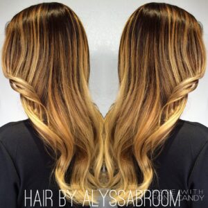 hair color by Alyssa Monaco Salon Tampa