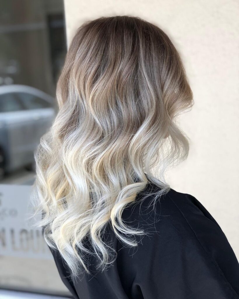 blonding monaco salon tampa