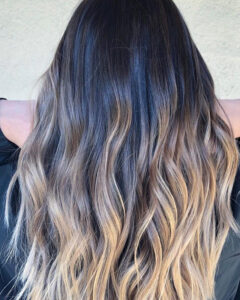 Brunette Hair Color and Brunette Color Melt 1