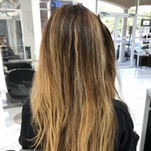 Hair Color Correction color correction by damaris monaco salon tampa before